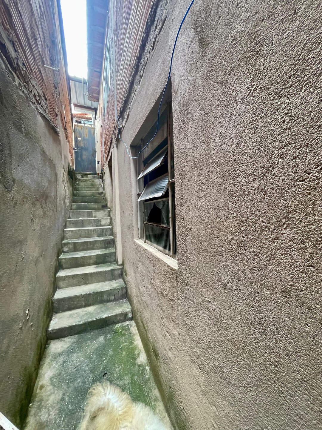 Casa, 5 quartos, 200 m² - Foto 23
