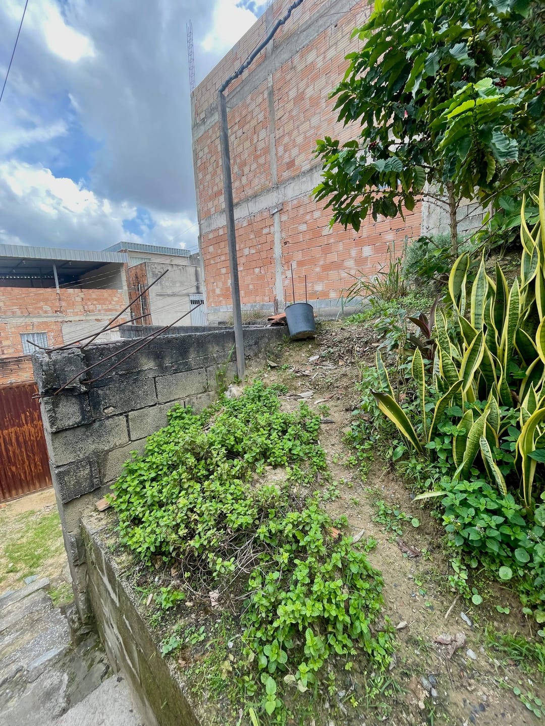 Casa, 3 quartos, 180 m² - Foto 6