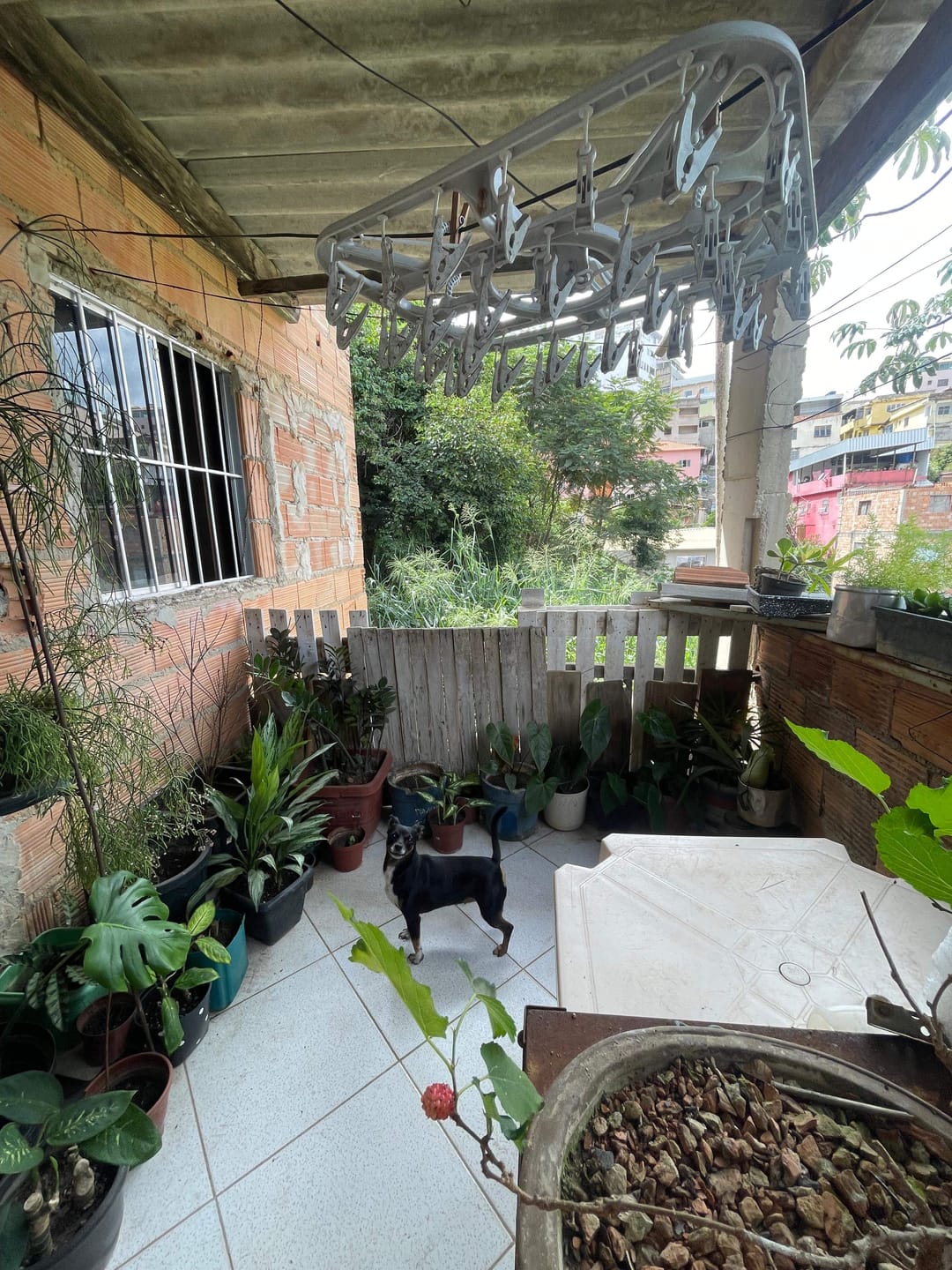 Casa, 3 quartos, 180 m² - Foto 12