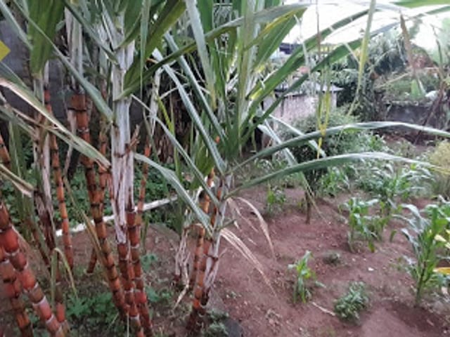 Foto do Casa - Casa em Jardim Itaquá  -  Itaquaquecetuba | Imobiliária Villela Imóveis