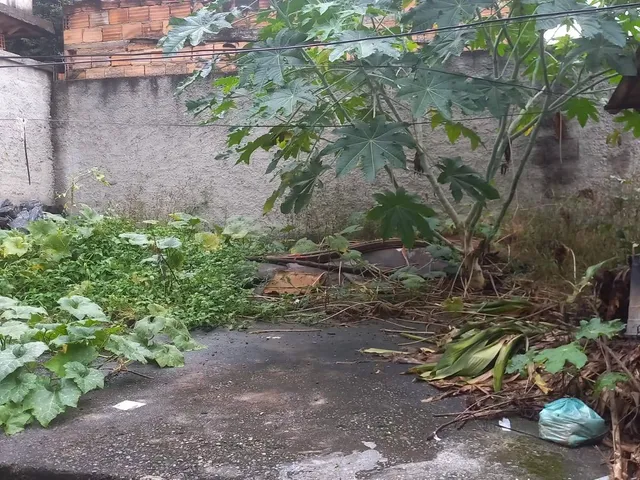 Casa 3 quartos e 1 banheiro, à venda, no bairro Guarani em Belo Horizonte