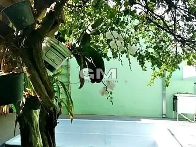 Casa com 287m² 4 quartos e 2 banheiros, à venda, no bairro Jardim Antártica em Ribeirão Preto