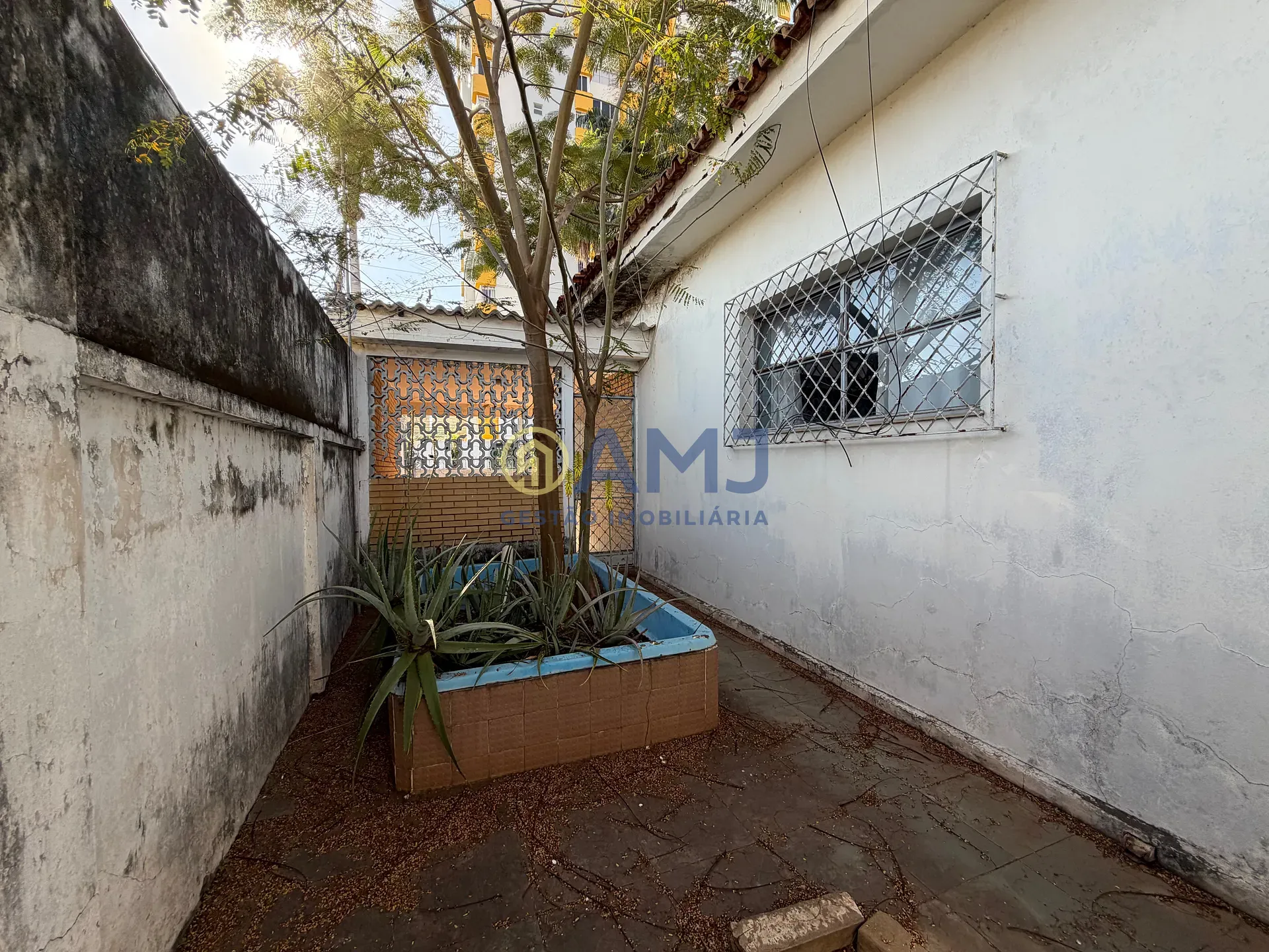 Casa, 3 quartos, 450 m² - Foto 8