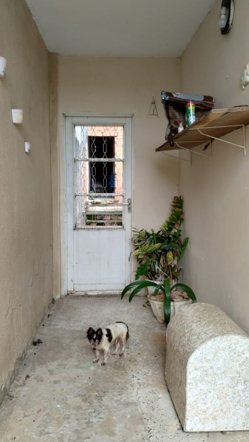 Casa, 2 quartos, 150 m² - Foto 5