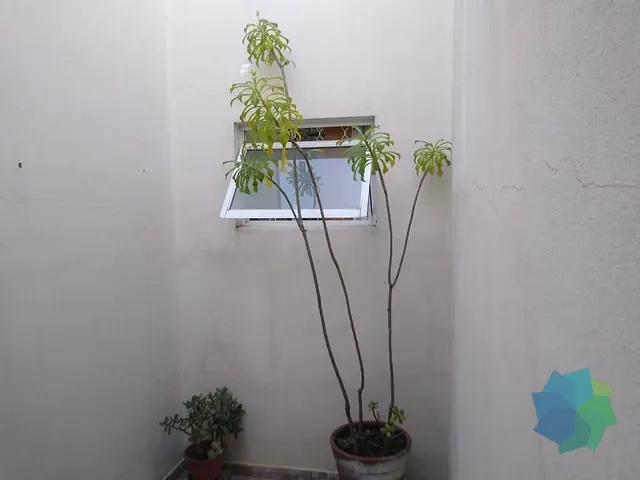 Casa com 175m² 2 quartos e 2 banheiros, à venda, no bairro Jardim Santa Marta em Salto
