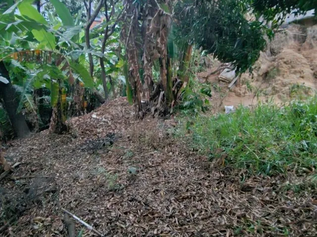 Casa 3 quartos e 1 banheiro, à venda, no bairro Tupi B em Belo Horizonte