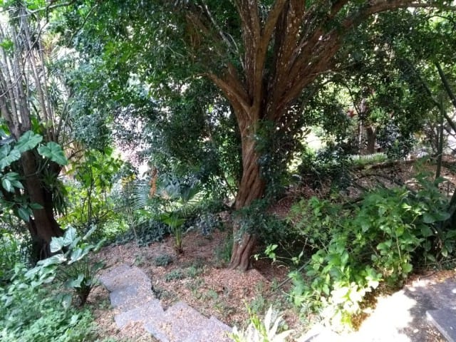 Casa à venda em Grajaú, Rio de Janeiro - RJ - Foto 6