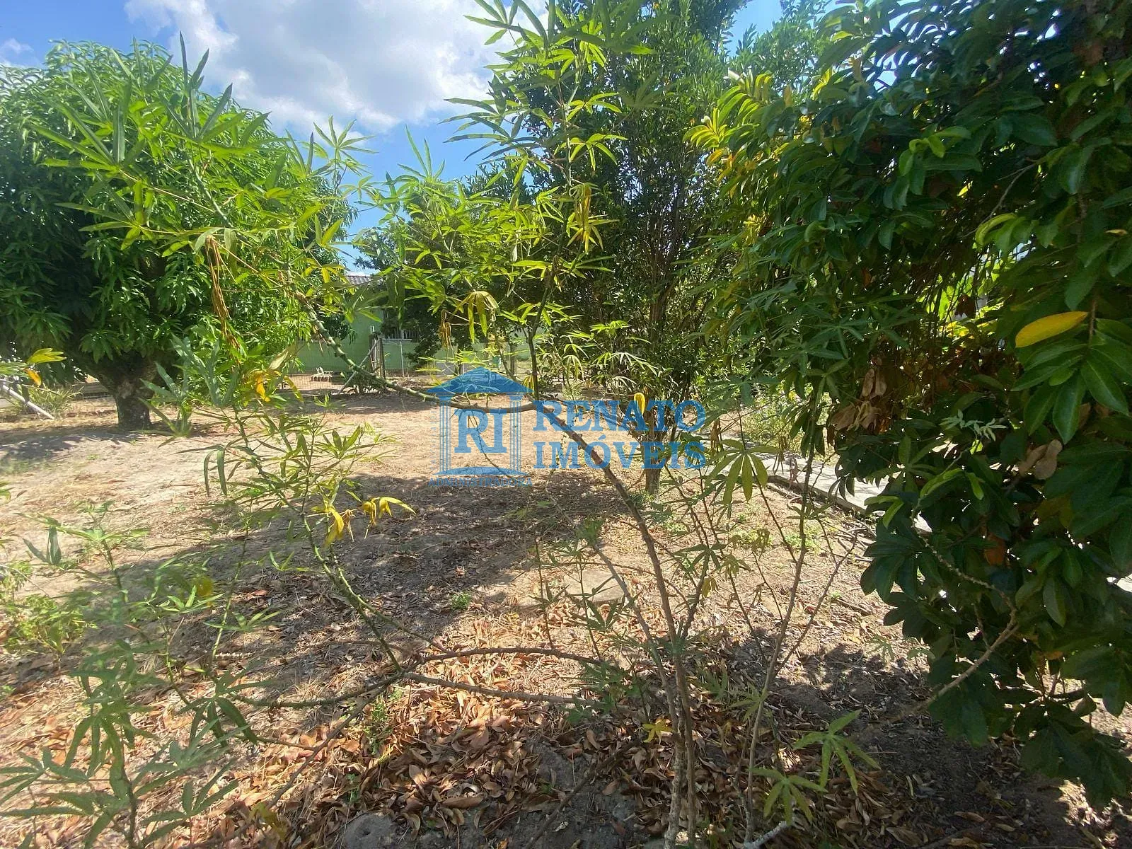 Casa, 2 quartos, 672 m² - Foto 7