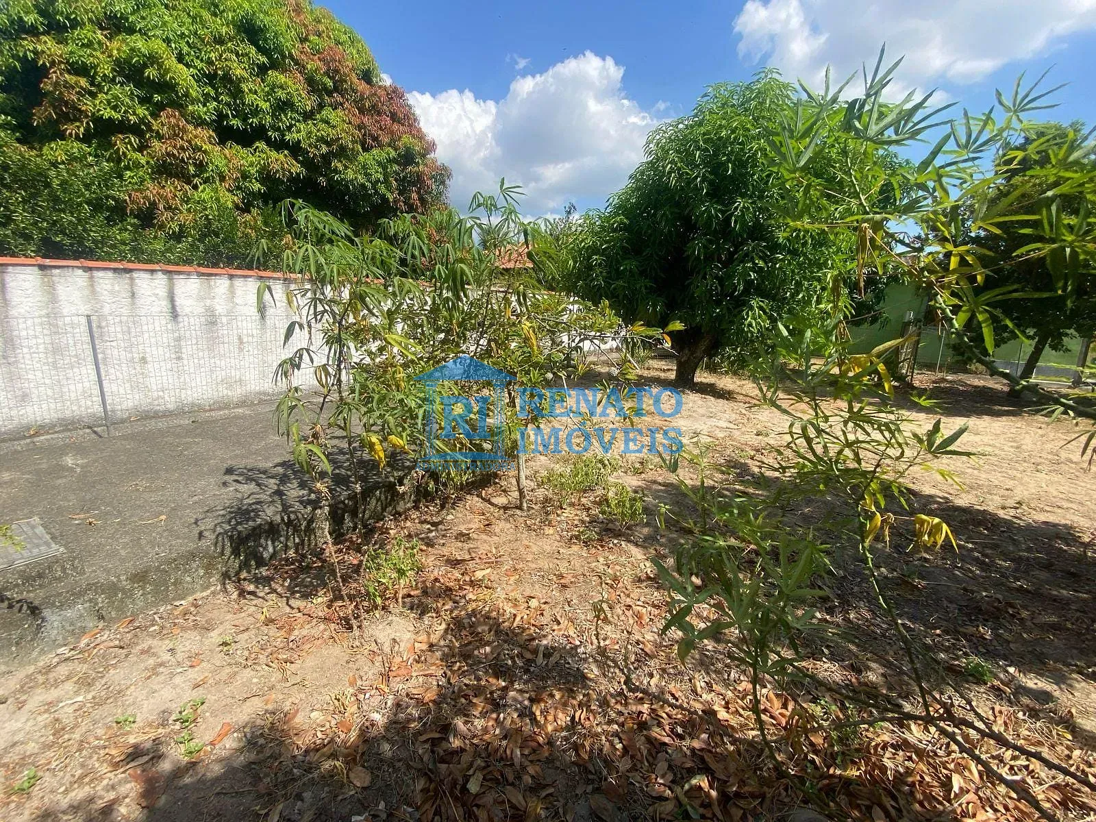 Casa, 2 quartos, 672 m² - Foto 8
