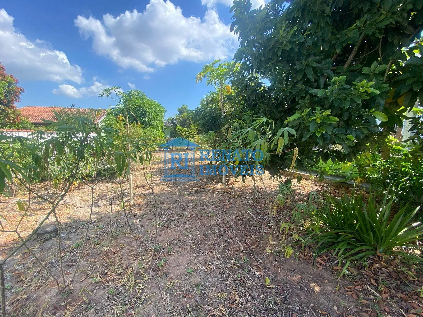 Casa, 2 quartos, 672 m² - Foto 11