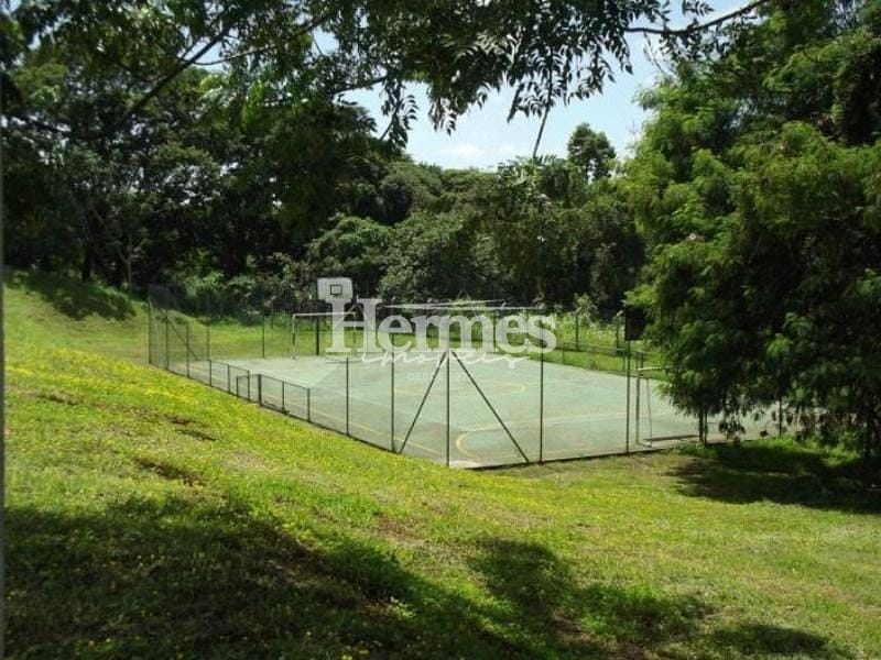 Casa, 3 quartos, 305 m² - Foto 35