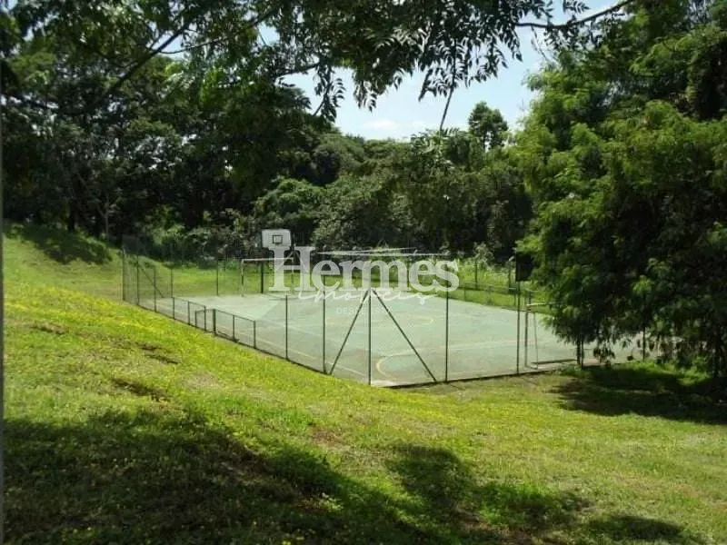 Casa, 3 quartos, 305 m² - Foto 35
