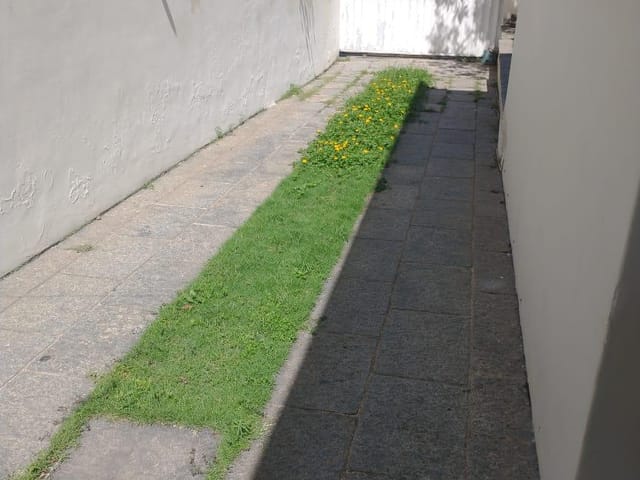 Casa com 576m² 3 quartos e 3 banheiros, à venda, no bairro Centro em Campos dos Goytacazes
