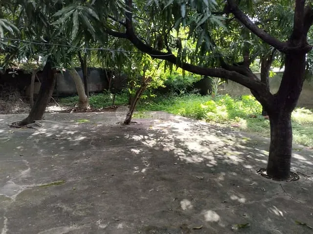 Casa com 600m² 3 quartos e 2 banheiros, à venda, no bairro Parque Piauí I em Timon