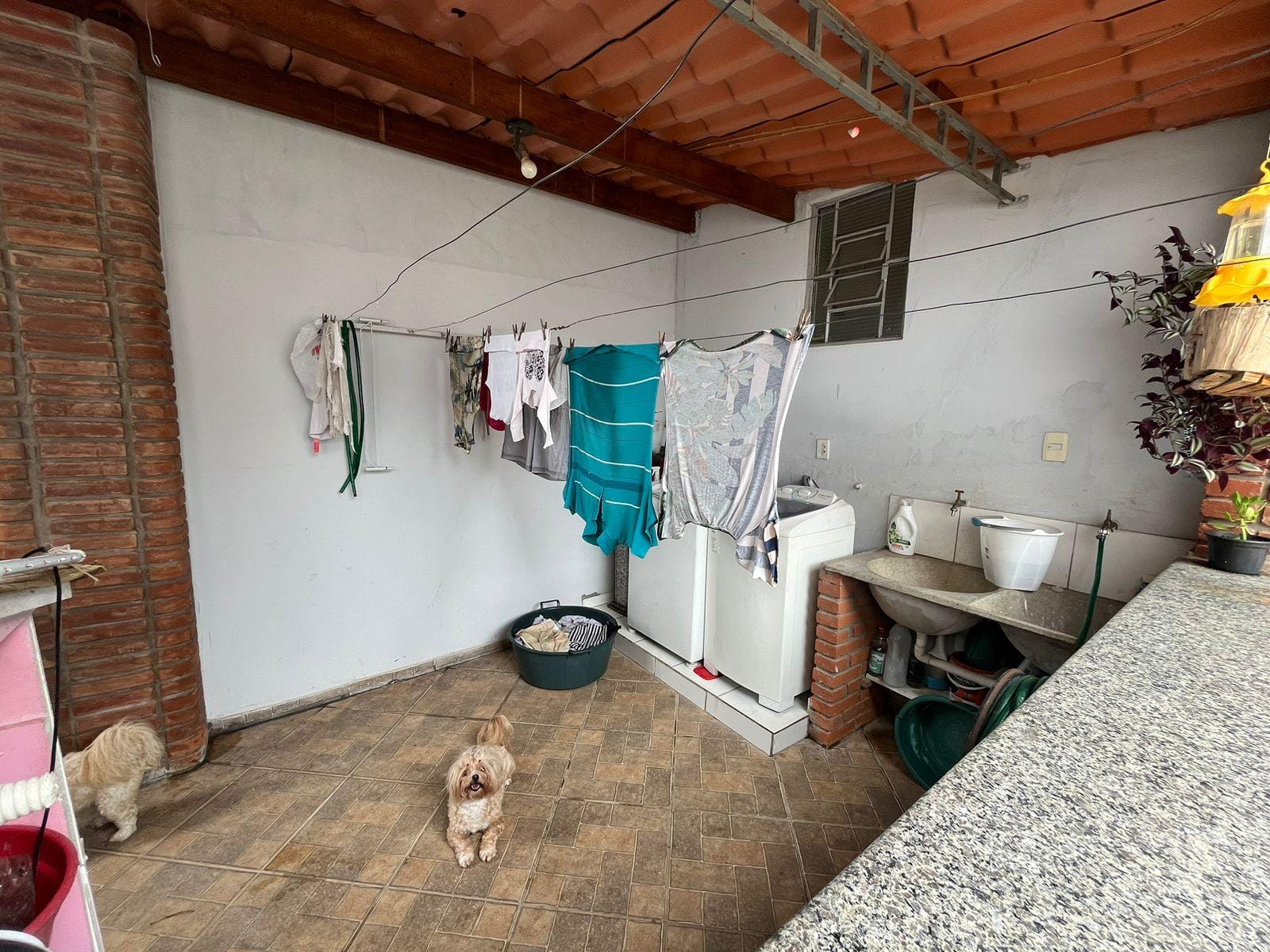 Casa, 3 quartos, 250 m² - Foto 7