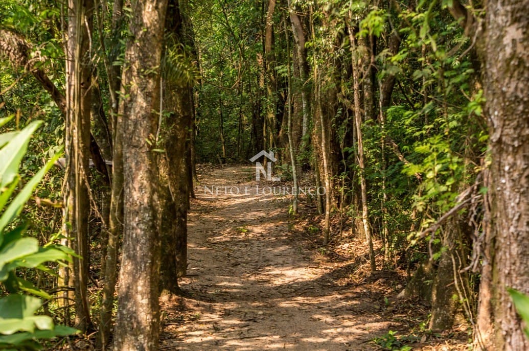 Casa, 4 quartos, 280 m² - Foto 33