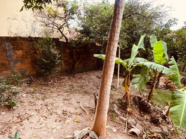 Foto do Casa - Casa à venda, Jonas Veiga por R$ 390.000 | Imobiliária Unique Leste