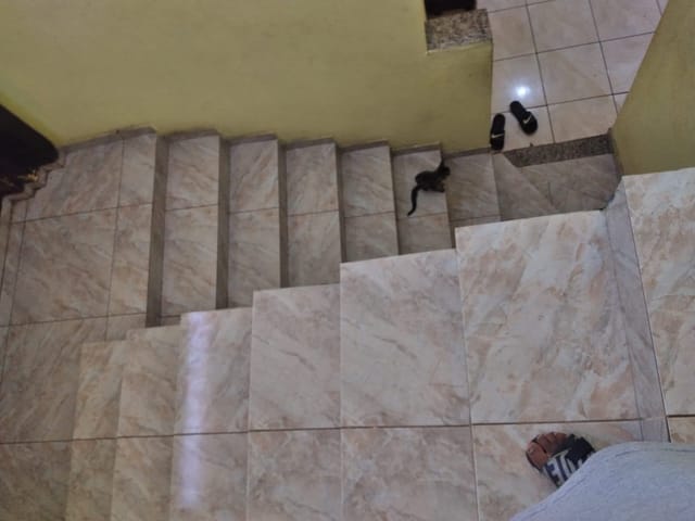 Casa com 385m² 2 quartos e 1 banheiro, à venda, no bairro Jardim Liliza em Campinas