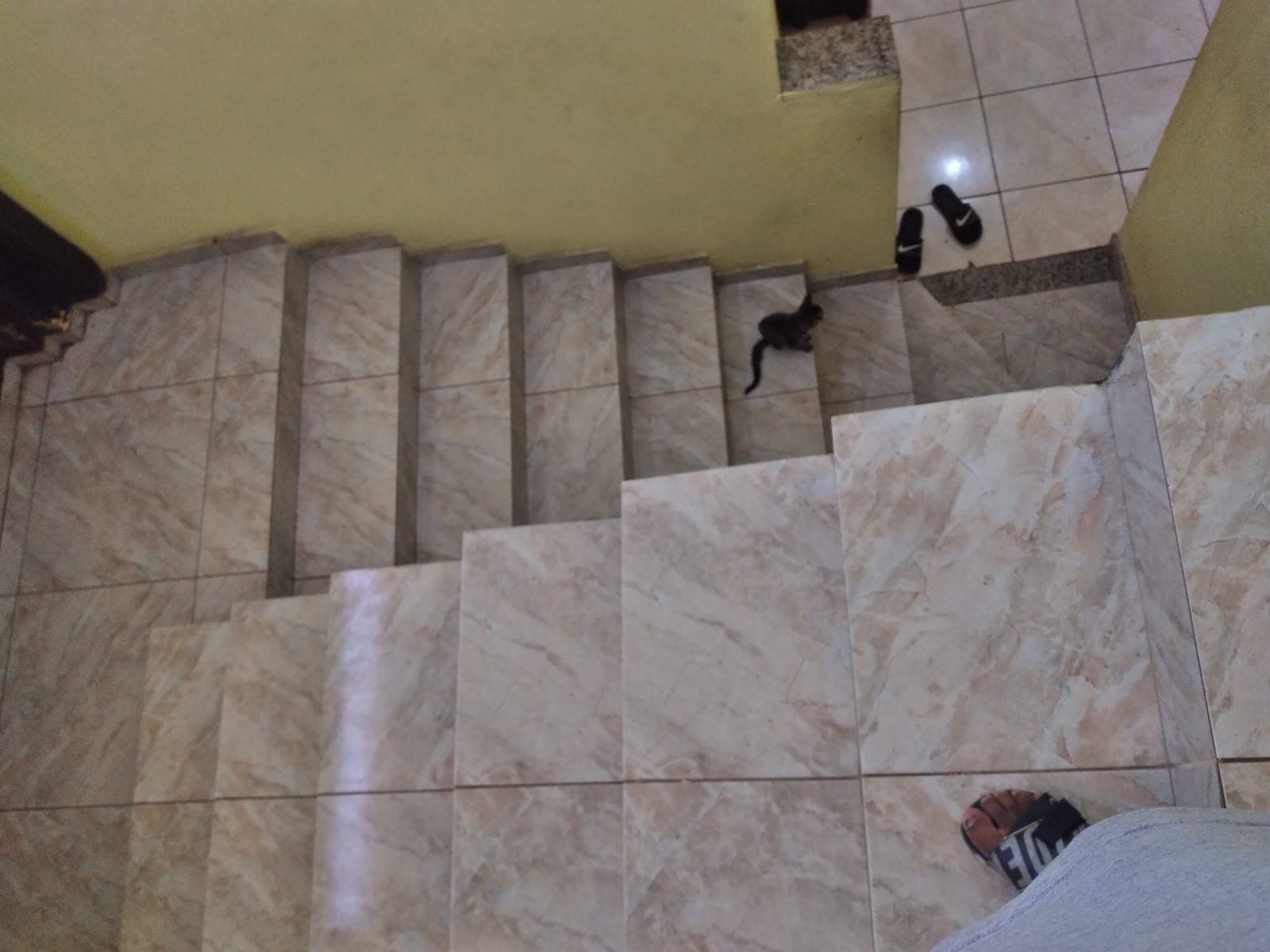 Casa, 2 quartos, 384 m² - Foto 3