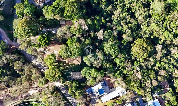 Casa, 5 quartos, 695 m² - Foto 14