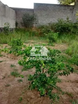 Casa, 5 quartos, 387 m² - Foto 11