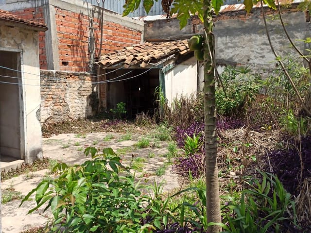 Casa com 266m² 4 quartos e 2 banheiros, à venda, no bairro Cambuci em São Paulo