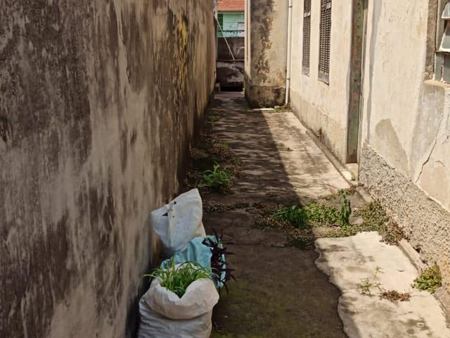 Casa com 266m² 4 quartos e 2 banheiros, à venda, no bairro Cambuci em São Paulo
