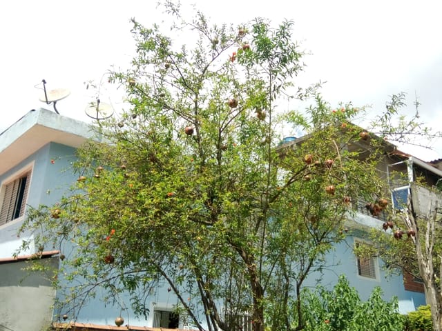 Foto do Casa - Casa à venda 1 quarto, 1 banheiro, 1 vaga, 70m², Cidade Ariston - Carapicuíba/SP | Collina Imóveis