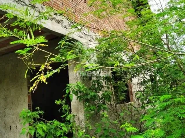 Casa com 5000m² 3 quartos e 3 banheiros, à venda, no bairro Juracy Palhano em Lagoa Seca