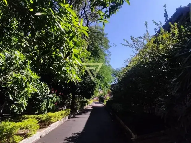 Casa com 200m² 4 quartos e 3 banheiros, à venda, no bairro Independência em Ribeirão Preto