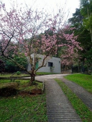 Casa com 6000m², à venda, no bairro Fazenda Inglesa em Petrópolis