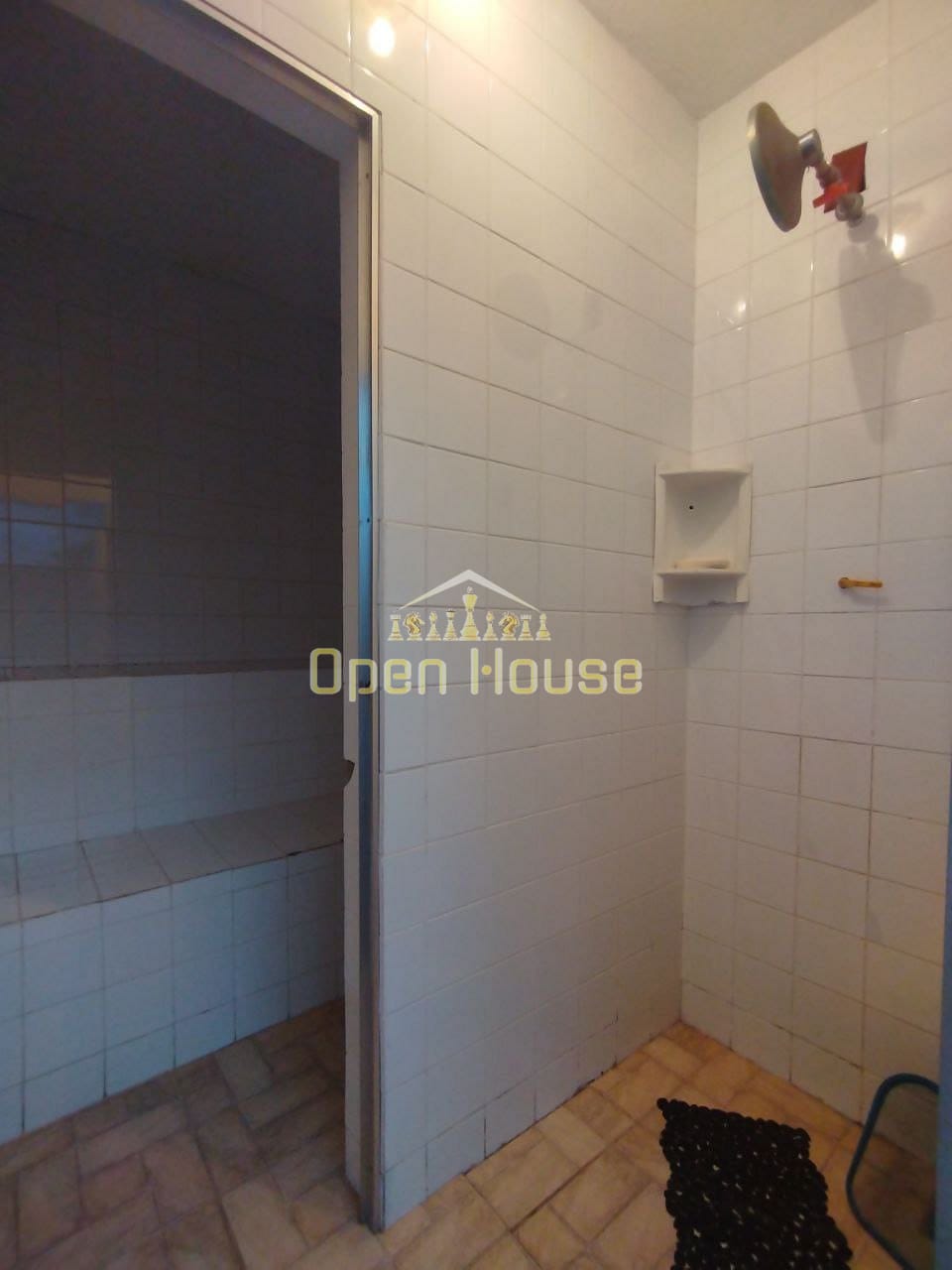 Casa, 4 quartos, 250 m² - Foto 38