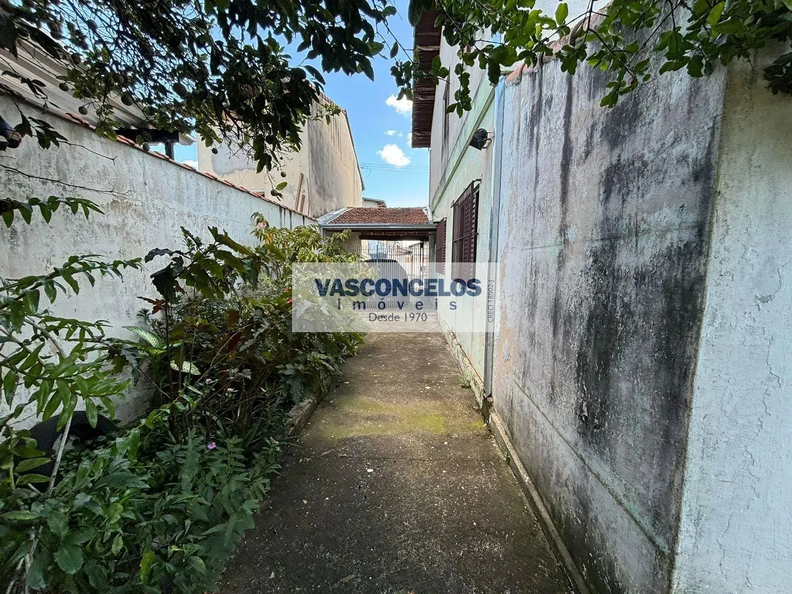 Casa, 5 quartos, 245 m² - Foto 15