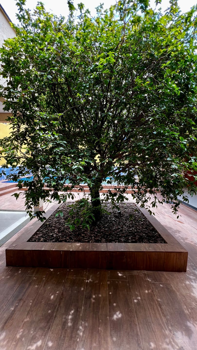 Casa, 3 quartos, 268 m² - Foto 36