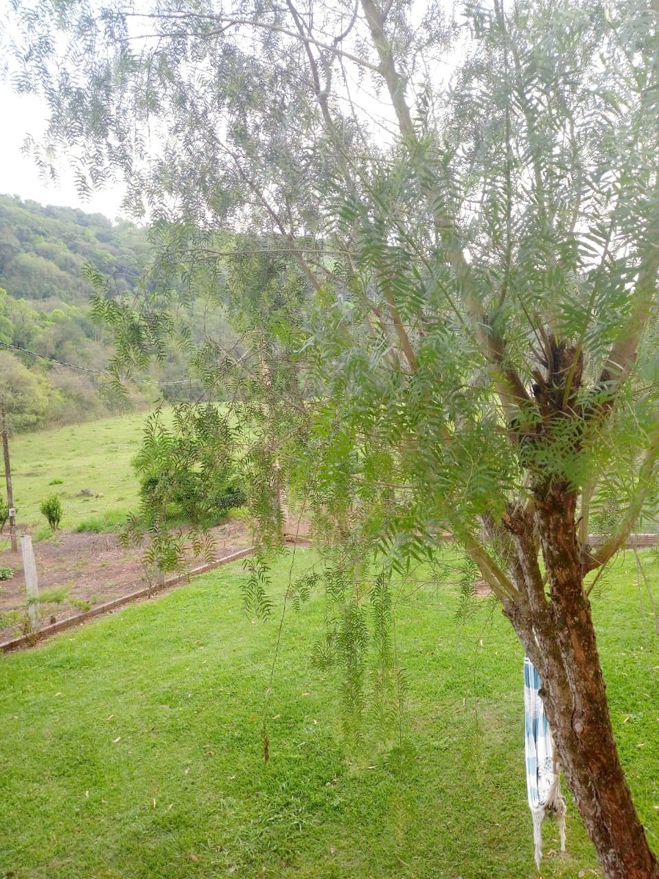 Foto 4 de casa em Chapecó