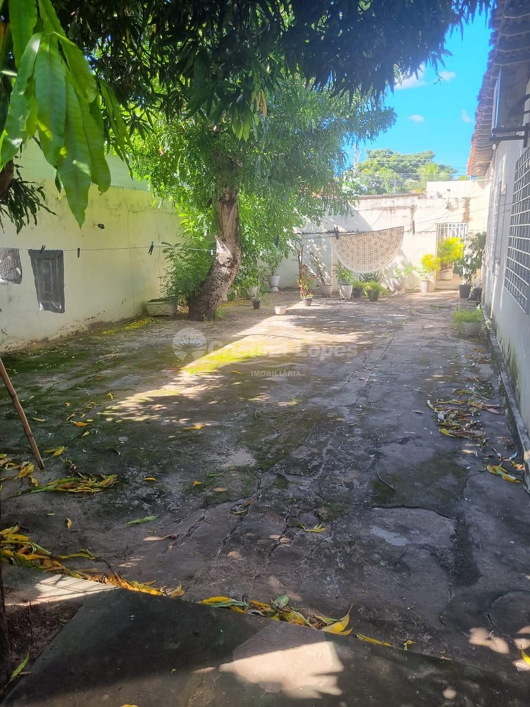 Casa, 4 quartos, 218 m² - Foto 5