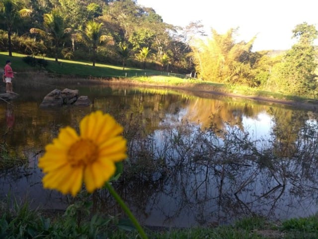 Casa com 200000m², à venda, no bairro AREAL em Areal