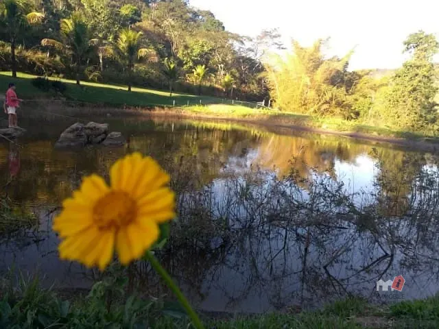 Casa com 200000m², à venda, no bairro AREAL em Areal