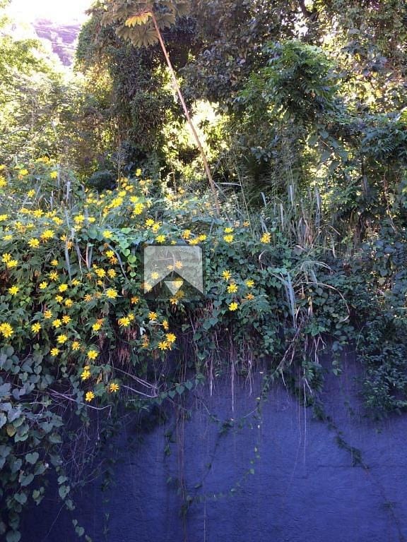 Casa, 4 quartos, 270 m² - Foto 5