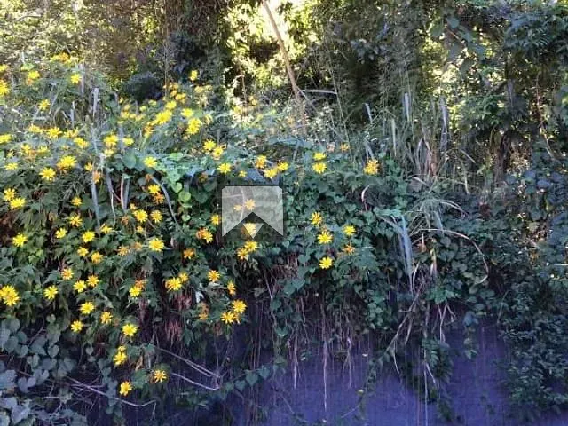 Casa com 450m² 4 quartos e 4 banheiros, à venda, no bairro São Francisco em Niterói