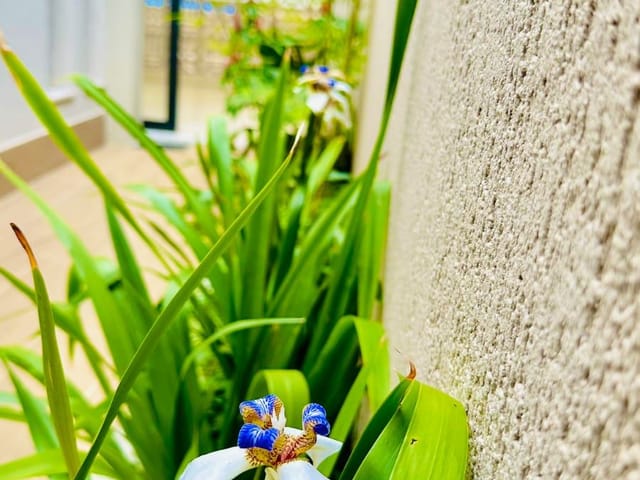Foto do Casa - Casa 3 quartos à venda, Vila Brasília, Aparecida de Goiânia, GO | M360 Imóveis