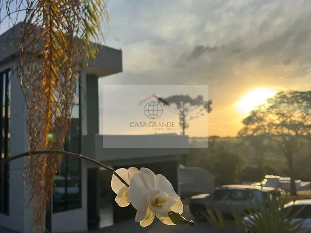 Casa com 628m² 4 quartos e 4 banheiros, à venda, no bairro Campo Belo em Rolândia