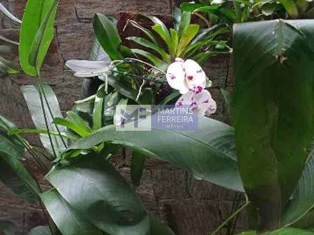 Casa 5 quartos e 8 banheiros, à venda, no bairro Recreio dos Bandeirantes em Rio de Janeiro