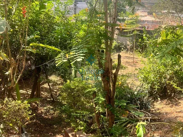 Casa 3 quartos e 1 banheiro, à venda, no bairro Ribeiro de Abreu em Belo Horizonte