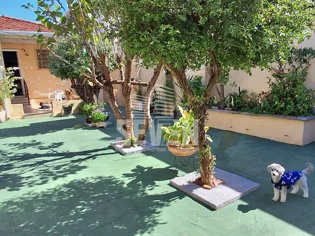 Casa com 370m² 3 quartos e 2 banheiros, à venda, no bairro Centro em Bauru