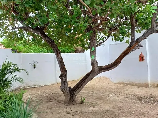 Casa com 267m² 3 quartos e 1 banheiro, à venda, no bairro Aeroporto em Teresina