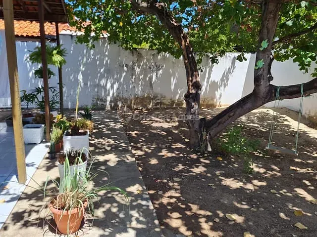 Casa com 267m² 3 quartos e 1 banheiro, à venda, no bairro Aeroporto em Teresina
