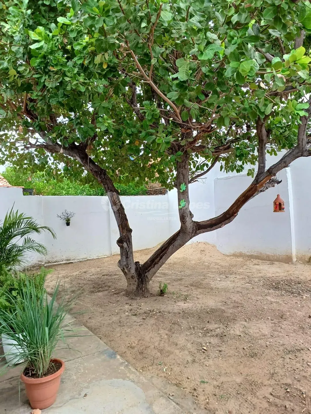 Casa, 3 quartos, 78 m² - Foto 2
