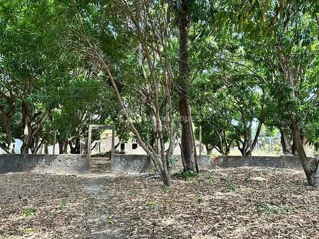 Casa com 5773m² 5 quartos e 6 banheiros, à venda, no bairro Centro em Altos