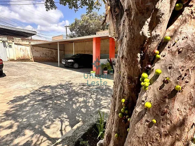 Casa 3 quartos e 2 banheiros, à venda, no bairro Guarani em Belo Horizonte